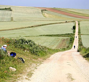 By Oula Lehtinen (Own work) [GFDL (http://www.gnu.org/copyleft/fdl.html), CC-BY-SA-3.0 (http://creativecommons.org/licenses/by-sa/3.0/) or CC BY-SA 2.5-2.0-1.0 (https://creativecommons.org/licenses/by-sa/2.5-2.0-1.0)], via Wikimedia Commons