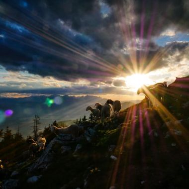 Photo by Jaka Škrlep on Unsplash