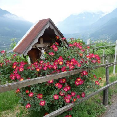 Kreuzweg in den Alpen
