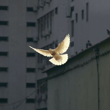 Photo by Sunguk Kim on Unsplash
