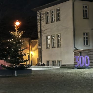 Weihnachten auf dem Martin-Luther-Kirchhof